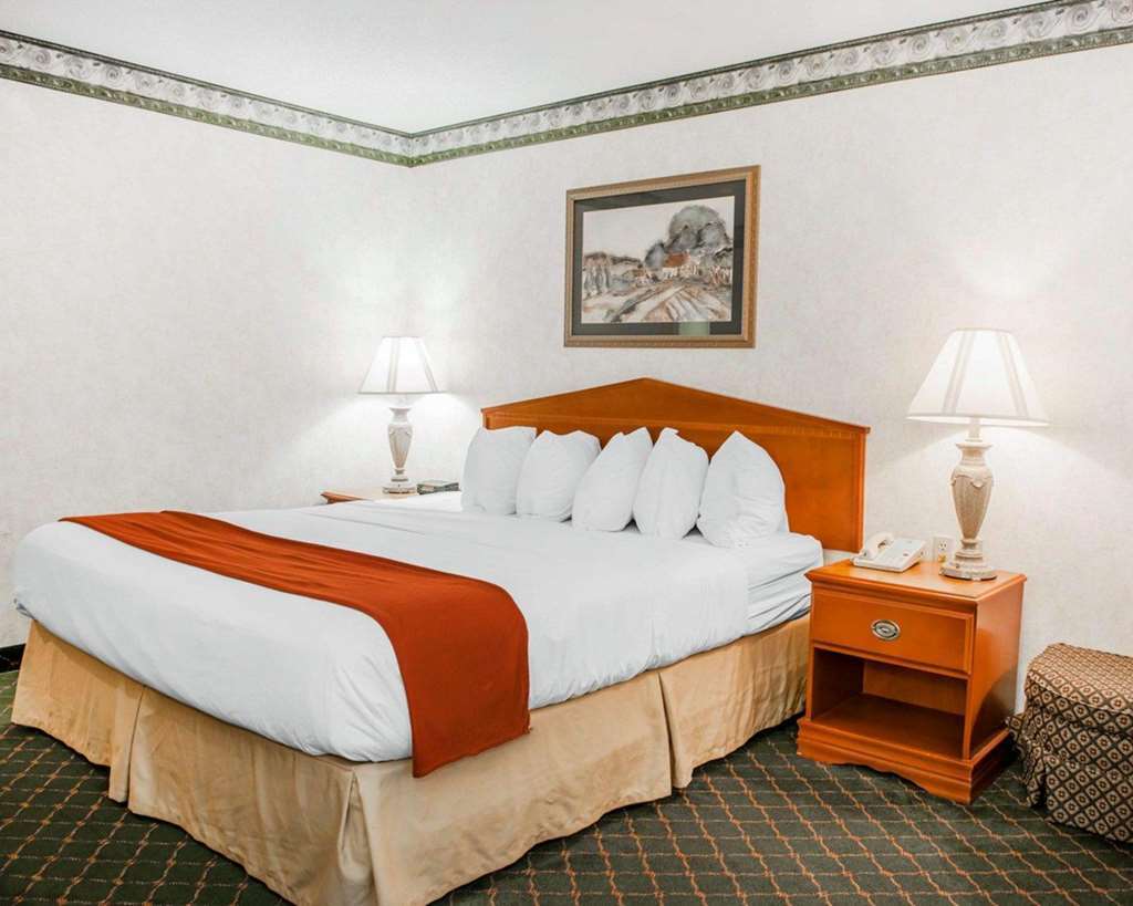 Quality Inn & Suites Brownsburg - Indianapolis West Bilik gambar